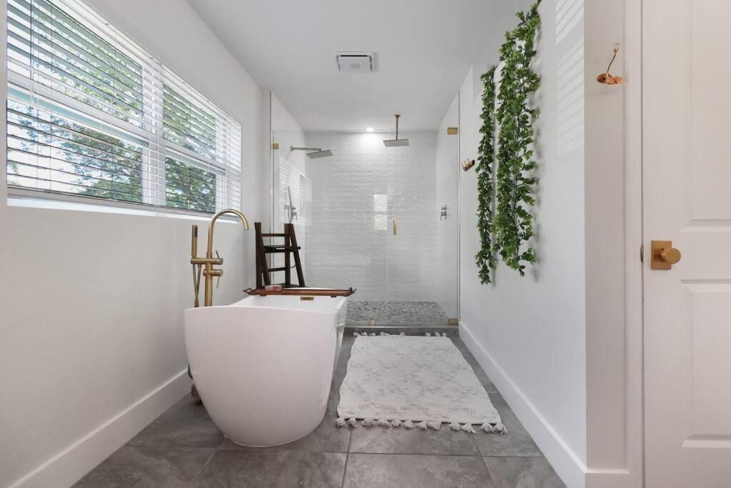 Palm Tree Paradise Tampa Pool Home المظهر الخارجي الصورة
