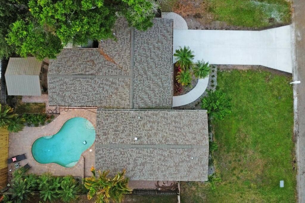 Palm Tree Paradise Tampa Pool Home المظهر الخارجي الصورة